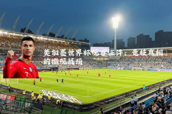 美加墨世界杯观赛证件：竞技真相的微观战场